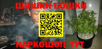 гидропоника Гусь-Хрустальный