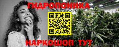 apvp Гусев