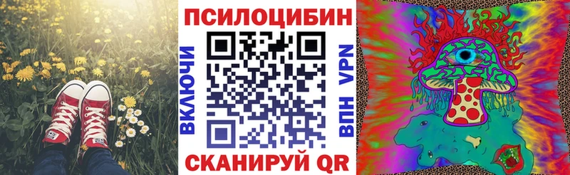 где купить гидра зеркало Галлюциногенные грибы мицелий Куйбышев